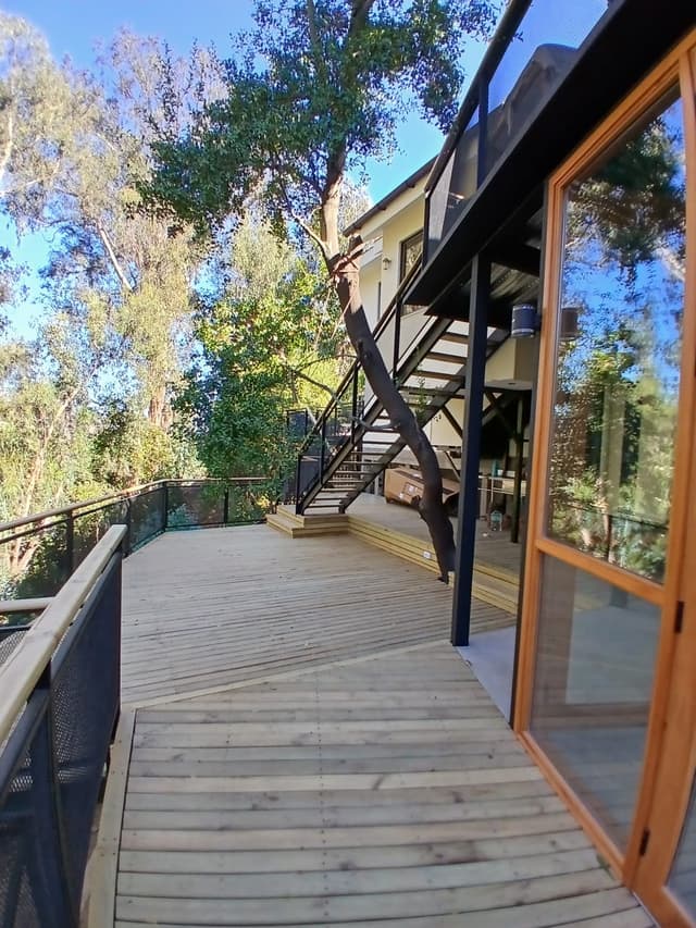 Terraza y deck