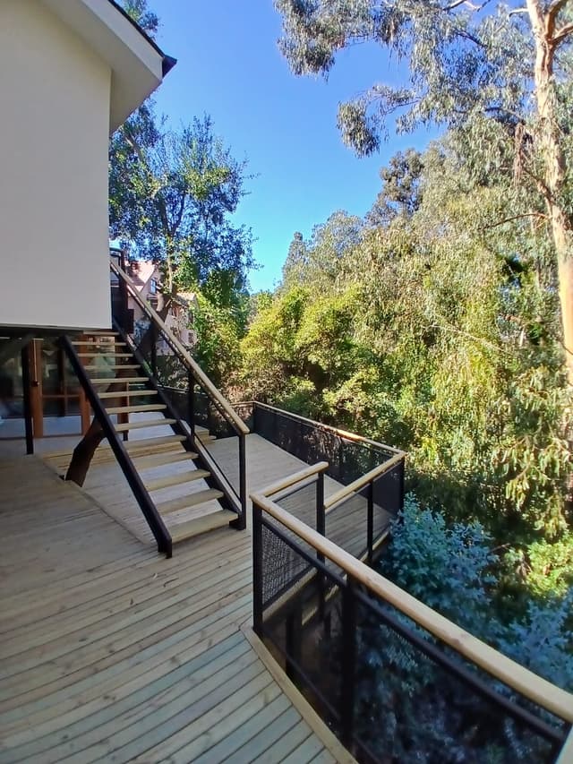 Terraza y deck